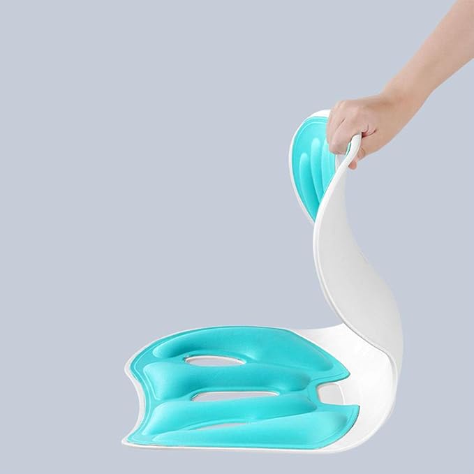 Back support pillow 2.0