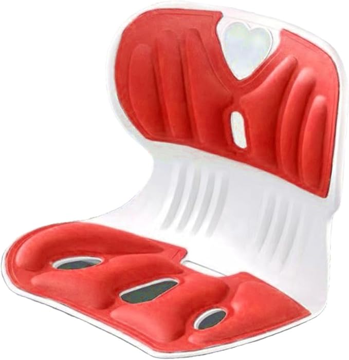 Back support pillow 2.0