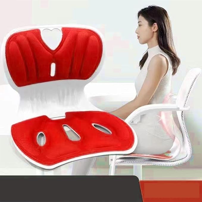Back support pillow 2.0
