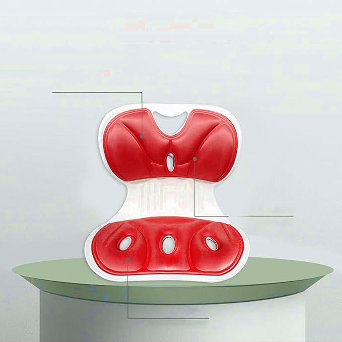 Back support pillow 2.0