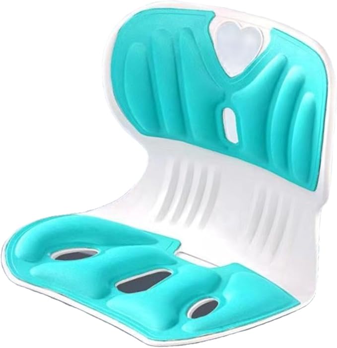 Back support pillow 2.0