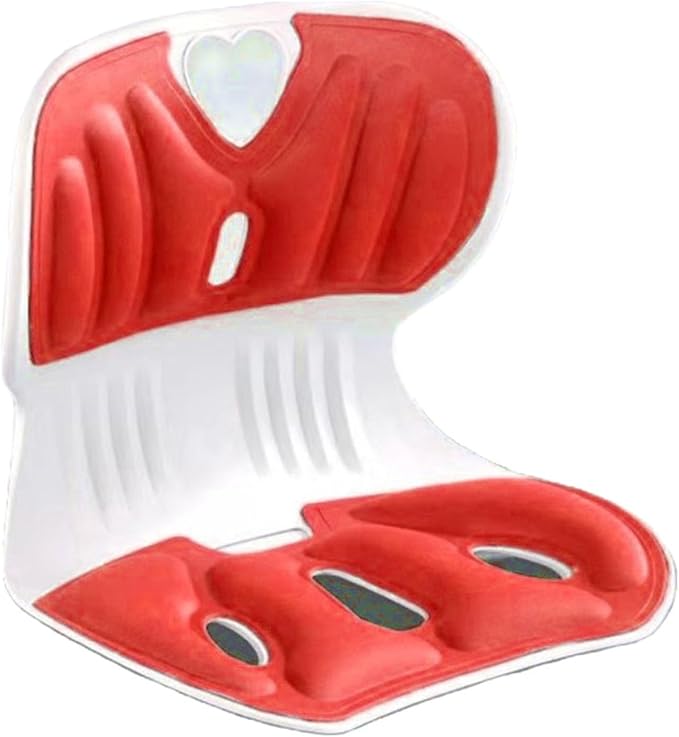 Back support pillow 2.0