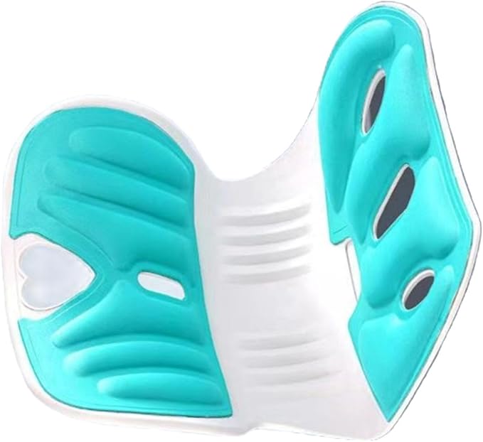 Back support pillow 2.0
