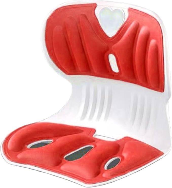 Back support pillow 2.0