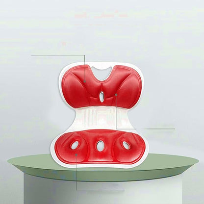 Back support pillow 2.0