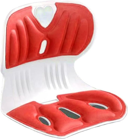 Back support pillow 2.0