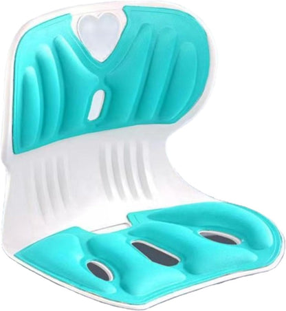 Back support pillow 2.0