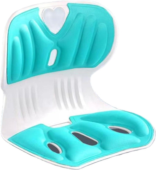 Back support pillow 2.0