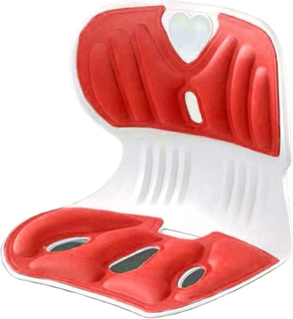 Back support pillow 2.0