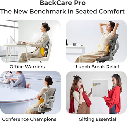 Back support pillow
