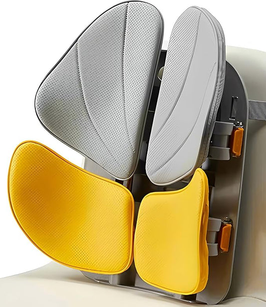Back support pillow